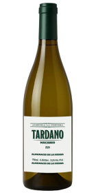 tardano-macabeo.png