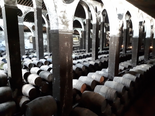 BarbadilloKathedraal