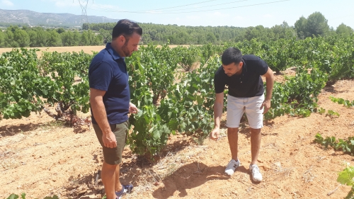 Wijngaard-Can-Leandro