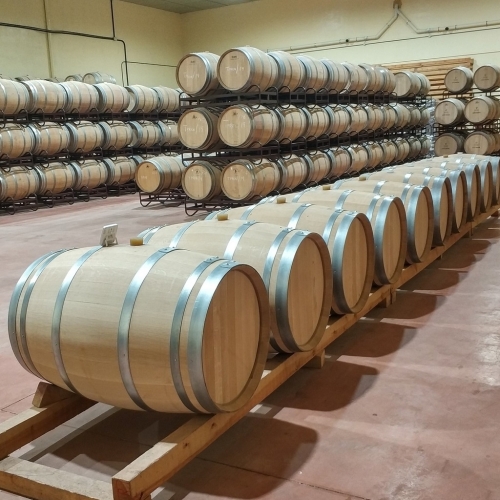 Bodegas-y-Vinedos-Maires-barricas.jpg